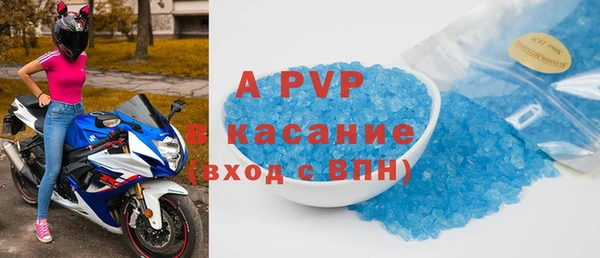 a pvp Бородино